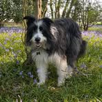 Raymond Wanless - Facebook