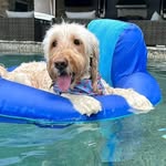 Raymond Paitt - @weirdo_raymond - Instagram