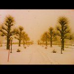 Raymond Whitley - @slimdayspy - Instagram