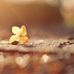 Raymond Willard - Facebook