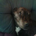 Raymond Williams - @williams.raymond - Instagram