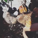 Raymond Williams - @williams_raymond - Instagram