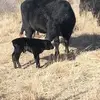 Raymond Williams - @raymond.williams04 - TikTok