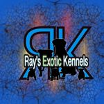 Raymond Winters - @raymond.winters - Instagram