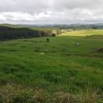 Raymond John Wiseman - @raymondjohnwiseman - Instagram
