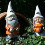 Raymond Wiseman - @wisegnome - Instagram