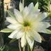 Raymond Wohler - Facebook