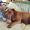 raymondwohler447 - @raymondwohler447 - TikTok