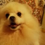 Raymond Yiu - Facebook