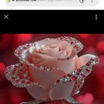 Rashna Adams - Facebook
