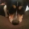 jackson🐶 - @rayna.miller - TikTok