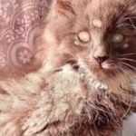 Rayna Miller - @rayna_907_urmom - Instagram