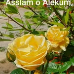 Ahmad Raza Rathore - @ahmadrazarathore - Instagram