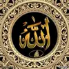 Razaul Karim - @razaul.karim3107 - TikTok