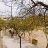 Razia malik - @razia.malik25 - TikTok