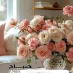 mohamed - @razia_mohamed.27k - Instagram