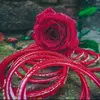 Razia Rahman - @raziarahman11 - TikTok