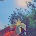 Razia Rahman - @raziarahman11 - Instagram