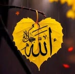 Razia Rahman - Facebook