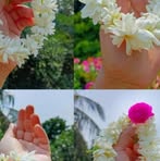 Razia Rahman - Facebook