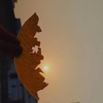 Rea - @reasingh_ - Instagram