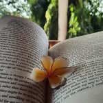 🤍 - @readsmith._ - Instagram