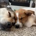 Reagan Bach - Facebook