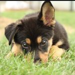 Reagan - @reaganbuff - Instagram