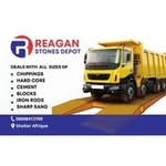 Reagan Stones - @reagan_stones - Instagram