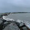 therealcapebreton - @therealcapebreton - TikTok