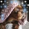 rebeccaweates - @rebeccaweates - TikTok