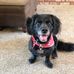 Rebecca Beebe - Facebook