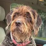 Rebecca Behm - @letmeski - Instagram