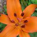 Rebecca Cooley - Facebook
