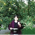 Rebecca Custer - @busybaker99687 - Instagram