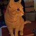 Rebecca Ebert - Facebook