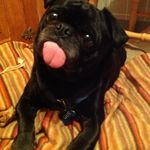 Rebecca Ebert Armstrong - @rebecca.ebert.921 - Instagram