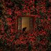 Rebecca Eller - Facebook