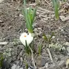 Rebecca Erhardt937 - @rebeccaerhardt937 - TikTok