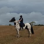 Rebecca Holohan - @holohan740 - Instagram