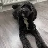 rebeccakenneally8 - @rebeccakenneally8 - TikTok