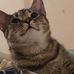 Rebecca Kirkpatrick - Facebook