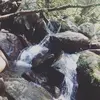 rebeccalanders59 - @rebeccalanders59 - TikTok