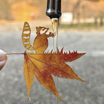 Becca Patch - Facebook