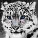 Rebecca Plescia - Facebook