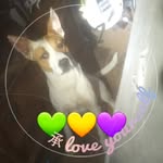 Rebecca Ramey - @rebecca.ramey.9693 - Instagram