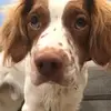Rebecca Rand - @rebecca.rand5 - TikTok