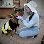 Rebecca Rand - @misshoneythepooch - Instagram