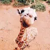 rebeccagetsready - @rebeccagetsready - TikTok
