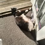 Rebecca Ream - @rebecca.ream.9883 - Instagram